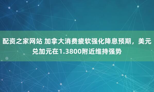 配资之家网站 加拿大消费疲软强化降息预期，美元兑加元在1.3800附近维持强势